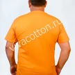 52bd2dd6-2d95-4104-ae8a-3c9fda227570-04.jpg